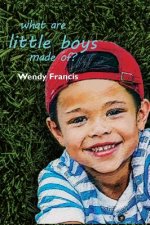 What are little boys made of?