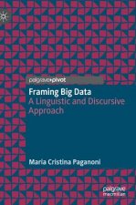Framing Big Data