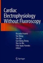 Cardiac Electrophysiology Without Fluoroscopy