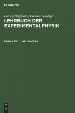 Wellenoptik