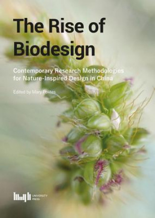 Rise of Biodesign: Contemporary Research - Methodologies for Nature-inspired Design in China