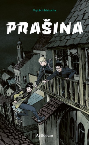 Prašina