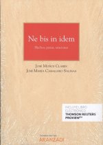 NE BIS IN IDEM. (DÚO)