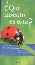 ¿QUÈ INSECTO ES ESTE?