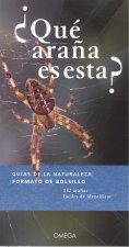 ¿QUÈ ARAÑA ES ESTA?