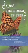 ¿QUÈ MARIPOSA ES ESTA?