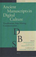 Ancient Manuscripts in Digital Culture: Visualisation, Data Mining, Communication