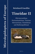 Tineidae II: (Myrmecozelinae, Perissomasticinae, Tineinae, Hieroxestinae, Teichobiinae and Stathmopolitinae)