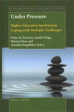 Under Pressure: Higher Education Institutions Coping with Multiple Challenges