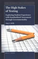 The High Stakes of Testing: Exploring Student Experience with Standardized Assessment Through Governmentality