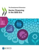 Sector financing in the SDG era