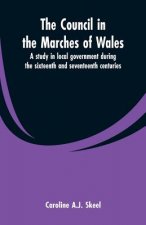 council in the marches of Wales