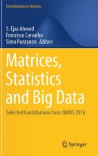 Matrices, Statistics and Big Data