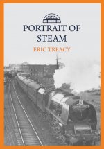 Portrait of Steam