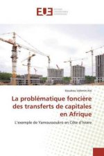 problematique fonciere des transferts de capitales en Afrique