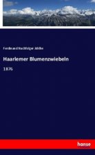 Haarlemer Blumenzwiebeln