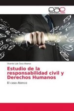Estudio de la responsabilidad civil y Derechos Humanos
