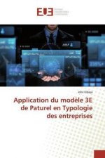 Application du modele 3E de Paturel en Typologie des entreprises
