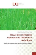 Revue des methodes d'analyse de l'efficience technique