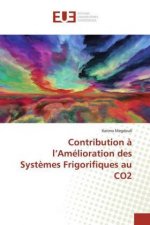 Contribution a l'Amelioration des Systemes Frigorifiques au CO2