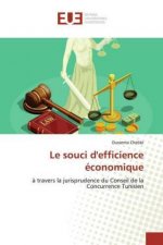 souci d'efficience economique