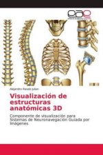 Visualización de estructuras anatómicas 3D