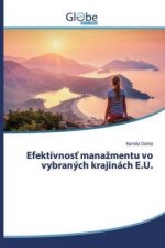 Efektívnos? mana?mentu vo vybraných krajinách E.U.