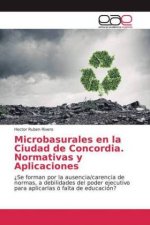 Microbasurales en la Ciudad de Concordia. Normativas y Aplicaciones