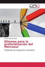 Dilemas para la profundización del Mercosur