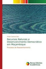 Recursos Naturais e Desenvolvimento Democrático em Moçambique