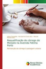 Requalificaç?o do córrego do Monjolo na Avenida Fátima Porto