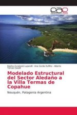 Modelado Estructural del Sector Aleda?o a la Villa Termas de Copahue