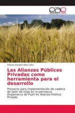 Las Alianzas Públicos Privadas como herramienta para el desarrollo