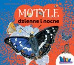 Motyle dzienne i nocne