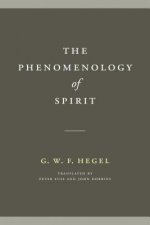Phenomenology of Spirit