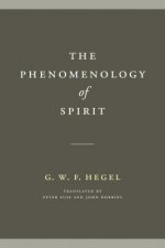 Phenomenology of Spirit