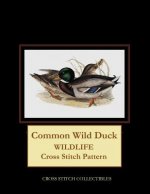 Common Wild Duck
