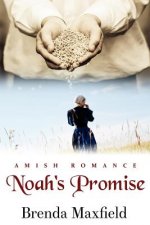 Noah's Promise