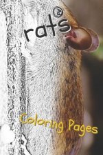 Rat Coloring Pages: Beautiful Rats Drawings for Kids and for Adults Relaxation