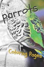 Parrot Coloring Pages: Beautiful Parrots Drawings for Kids and for Adults Relaxation
