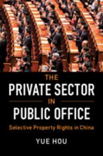 Private Sector in Public Office