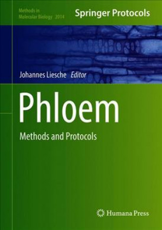 Phloem