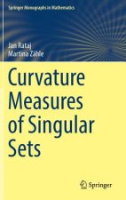 Curvature Measures of Singular Sets
