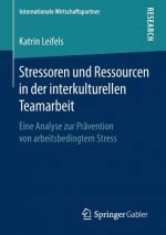 Stressoren Und Ressourcen in Der Interkulturellen Teamarbeit