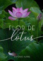 Flor de Lotus