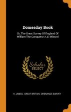 Domesday Book