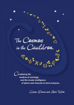 Cosmos in the Cauldron