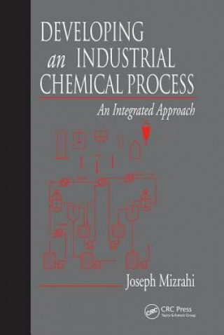 Developing An Industrial Chemical Process