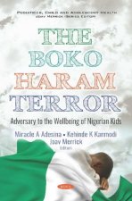 Boko Haram Terror