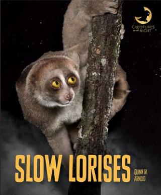 Slow Lorises